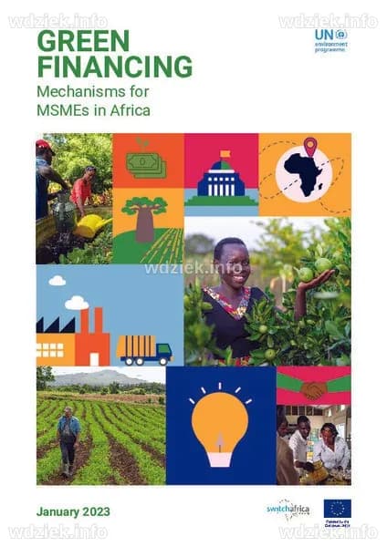 Green Financing Mechanisms for MSME in Africa | SWITCH Africa Green