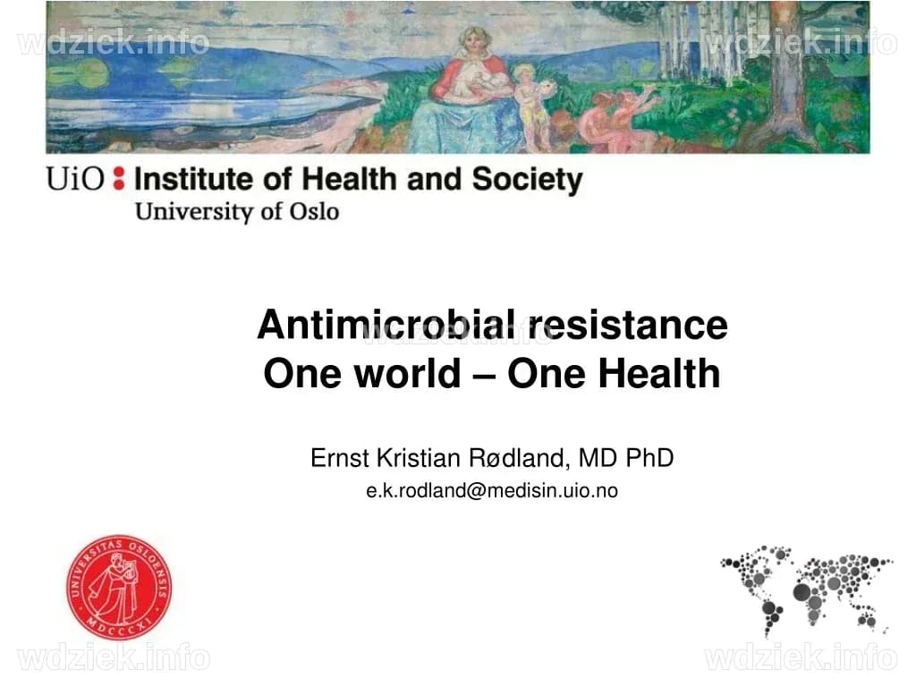 PPT - Antimicrobial Resistance: A Global Perspective PowerPoint ...