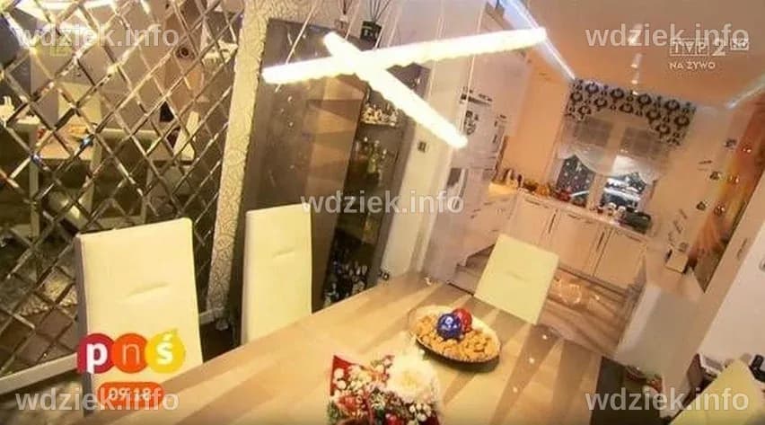 Zenek Martyniuk: Nasz Nowy Dom - Przewodnik po Życiu i Twórczości Artysty