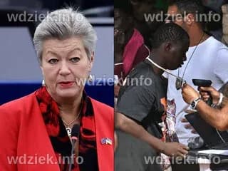 Dzieci pobite w ekskluzywnej dzielnicy Berlina. Gang imigrantów