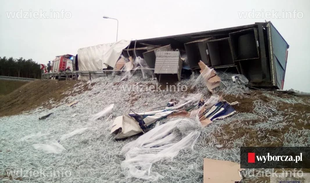 Wypadek na A1 pod Ciechocinkiem - wszystkie informacje i statystyki