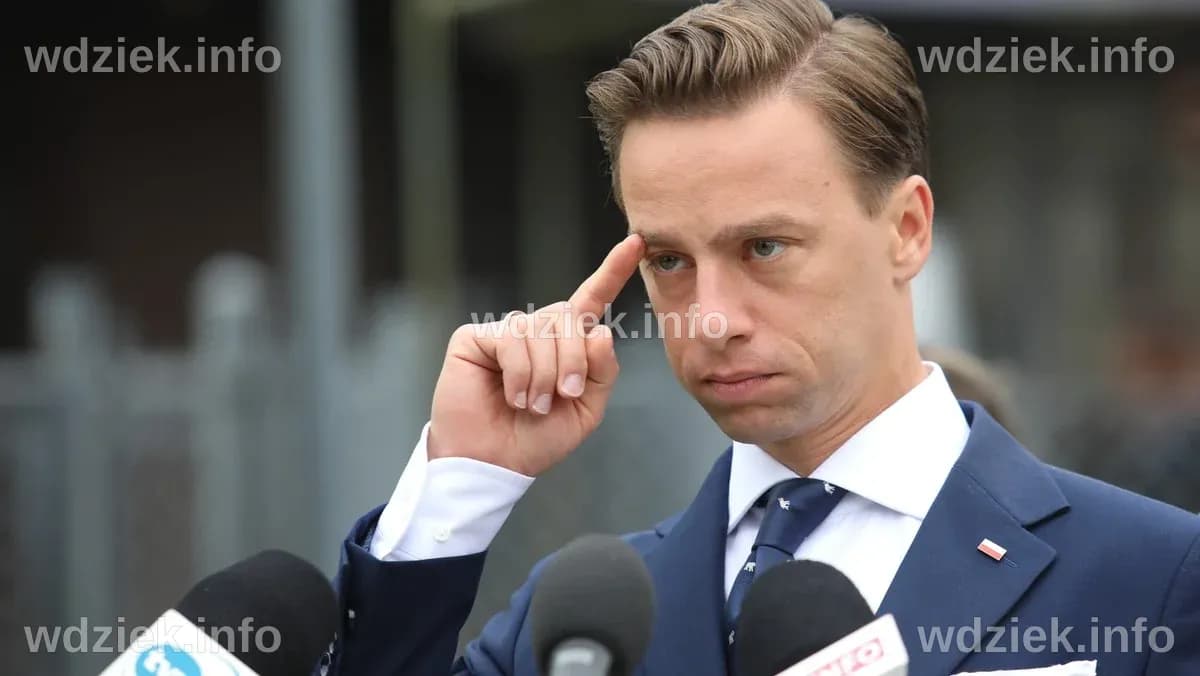 Krzysztof Bosak's Education: A Comprehensive Overview