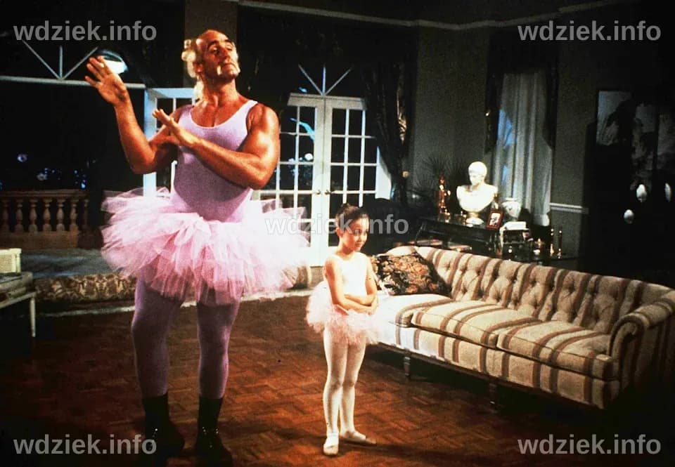 Hulk Hogan's roles as movie star, media crusader and MAGA hypeman had a ...