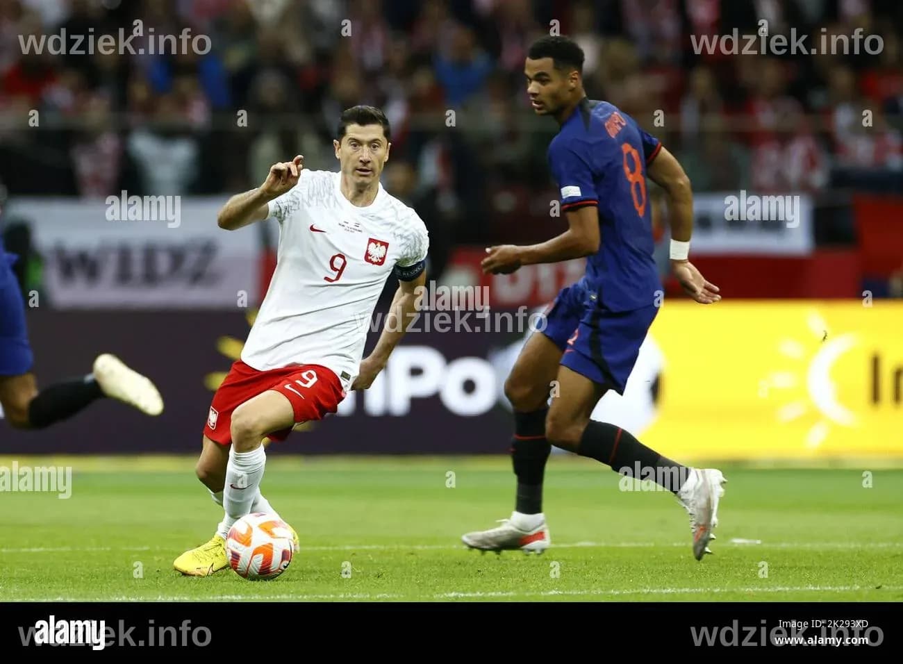 WARSAW - (lr) Robert Lewandowski of Poland, Cody Gakpo of Holland ...