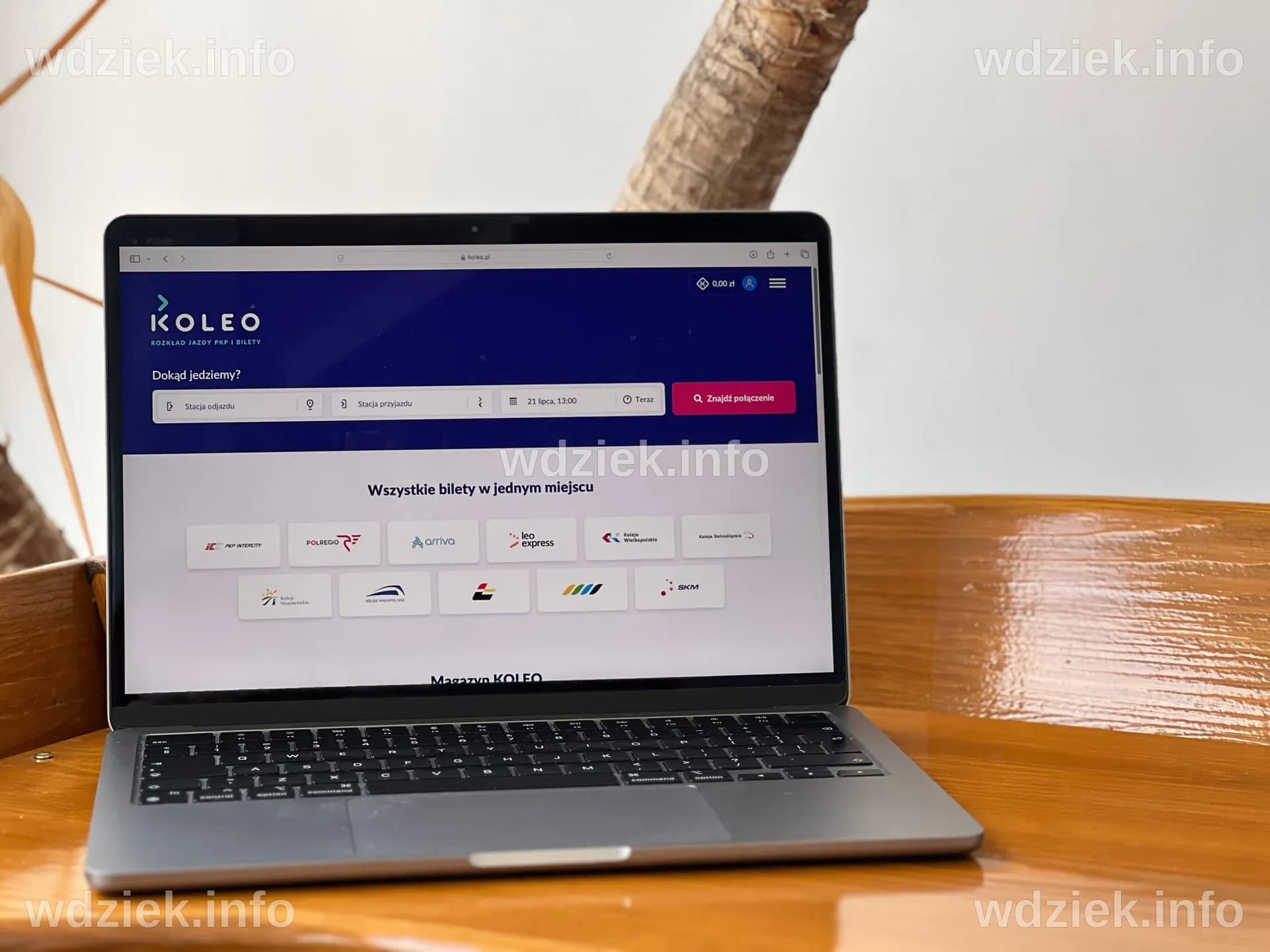 Zupełnie nowy wygląd platformy KOLEO › Magazyn KOLEO