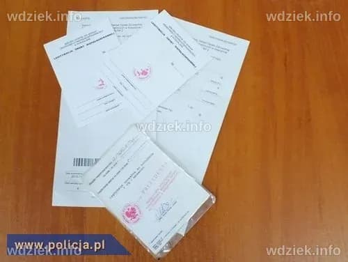 Fałszowali recepty i legitymacje - Policja.pl - Portal polskiej Policji