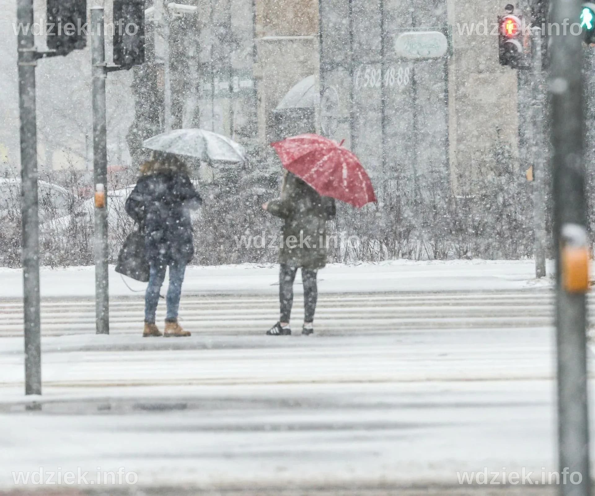 Kiedy spadnie śnieg w Warszawie? Prognozy na nadchodzące dni i przygotowania miasta