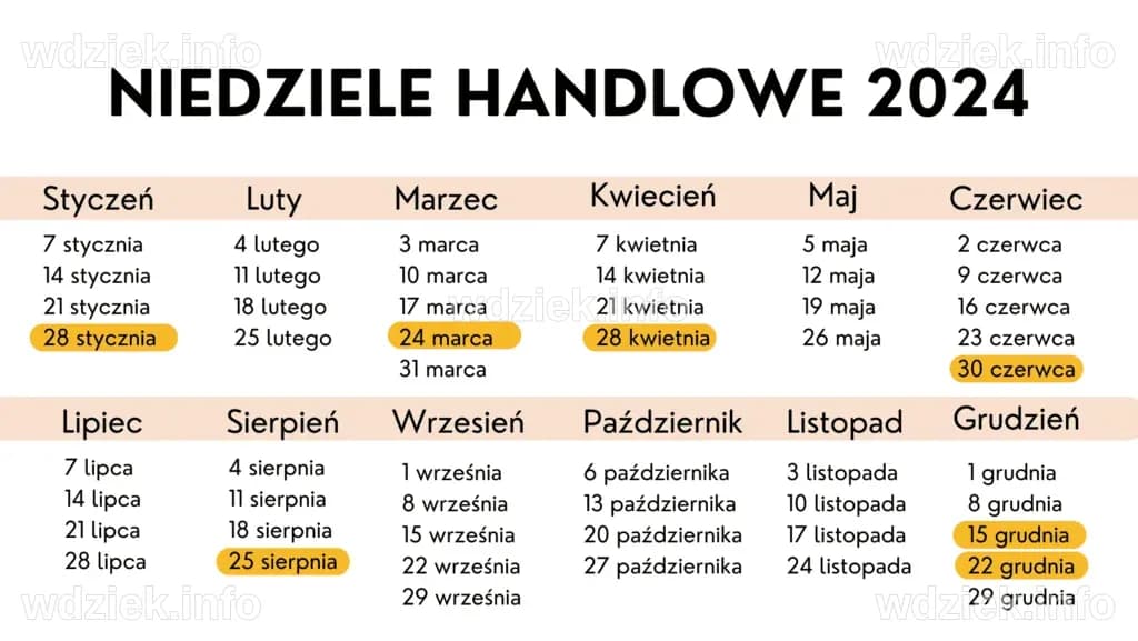 Niedziela Handlowa em Novembro de 2024: O Que Você Precisa Saber