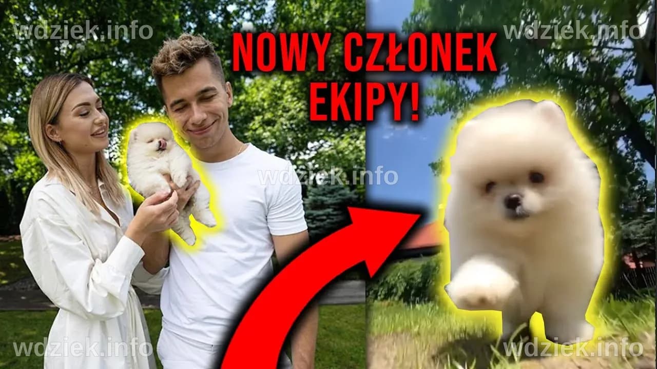 Wersow i Chmurka - Nowy Pies w Ekipie